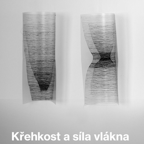 Křehkost a síla vlákna, Eva Damborská